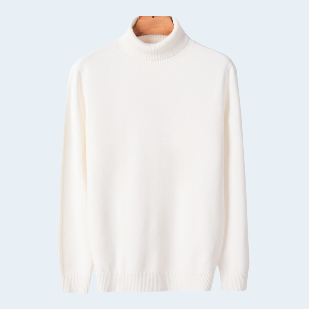 Biruvi | Men’s Knitwear Turtleneck Sweater Slim Fit Warm Winter Layer