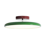 Matte Black Adjustable Ceiling Lamp with Soft Diffused Light – Ideal for Living Room or Bedroom