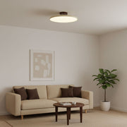 Matte Black Adjustable Ceiling Lamp with Soft Diffused Light – Ideal for Living Room or Bedroom