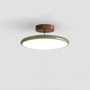 Matte Black Adjustable Ceiling Lamp with Soft Diffused Light – Ideal for Living Room or Bedroom
