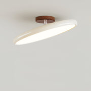 Matte Black Adjustable Ceiling Lamp with Soft Diffused Light – Ideal for Living Room or Bedroom