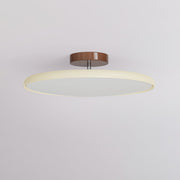 Matte Black Adjustable Ceiling Lamp with Soft Diffused Light – Ideal for Living Room or Bedroom