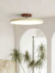 Matte Black Adjustable Ceiling Lamp with Soft Diffused Light – Ideal for Living Room or Bedroom