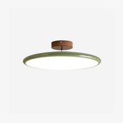 Matte Black Adjustable Ceiling Lamp with Soft Diffused Light – Ideal for Living Room or Bedroom