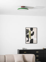 Matte Black Adjustable Ceiling Lamp with Soft Diffused Light – Ideal for Living Room or Bedroom