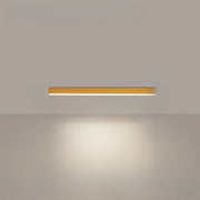 Modern Metal Ceiling Lamp with LED Lighting – Ideal for Balcony or Patio