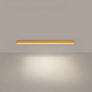 Modern Metal Ceiling Lamp with LED Lighting – Ideal for Balcony or Patio