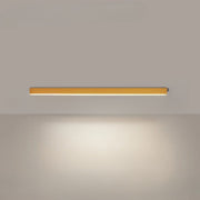 Modern Metal Ceiling Lamp with LED Lighting – Ideal for Balcony or Patio