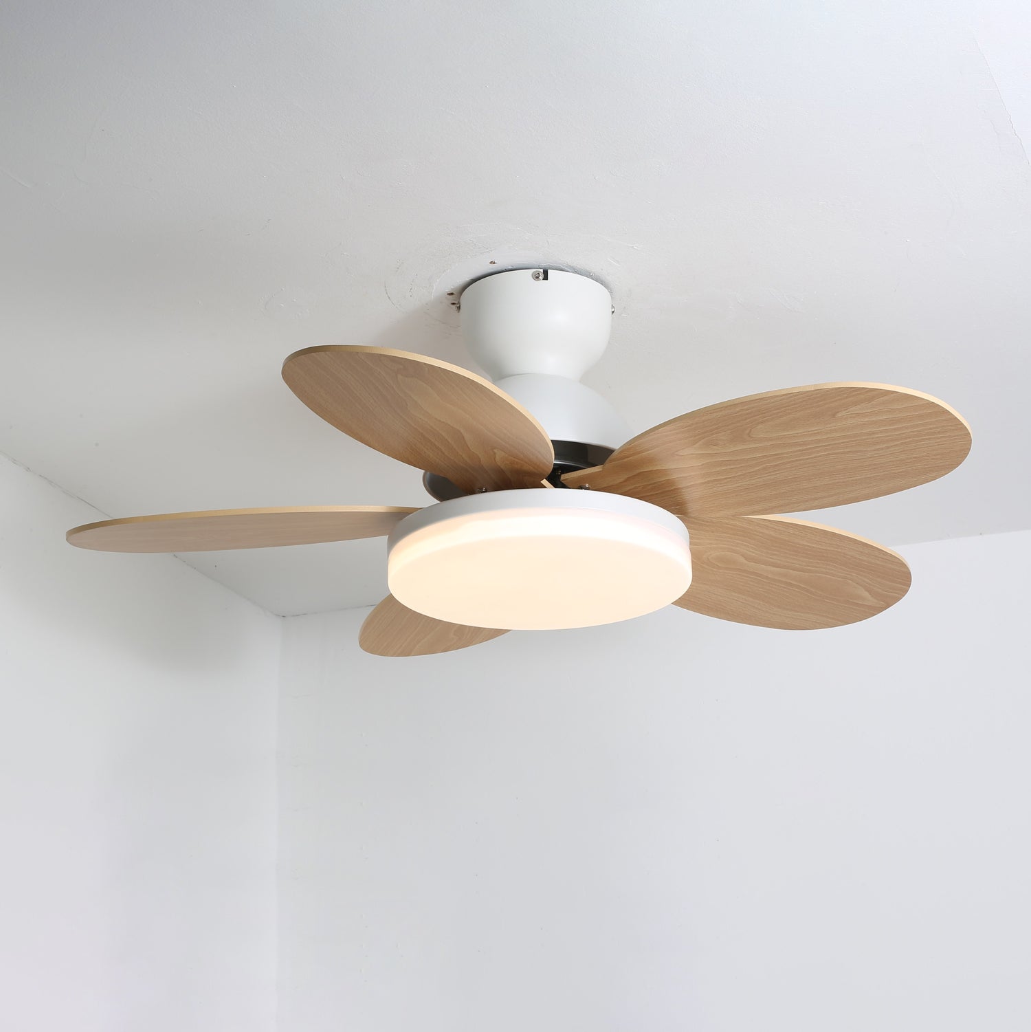 Petalo Design Ceiling Fan Light with Integrated Illumination – Ideal for Living Room or Bedroom