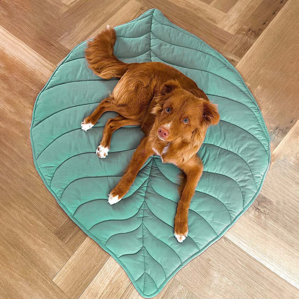 Soft Touch Leaf Design Dog Blanket with Dual Use – Ideal for Living Room or Couch