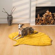 Soft Touch Leaf Design Dog Blanket with Dual Use – Ideal for Living Room or Couch