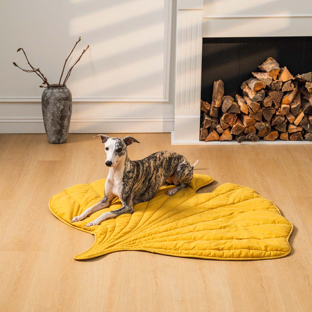 Soft Touch Leaf Design Dog Blanket with Dual Use – Ideal for Living Room or Couch