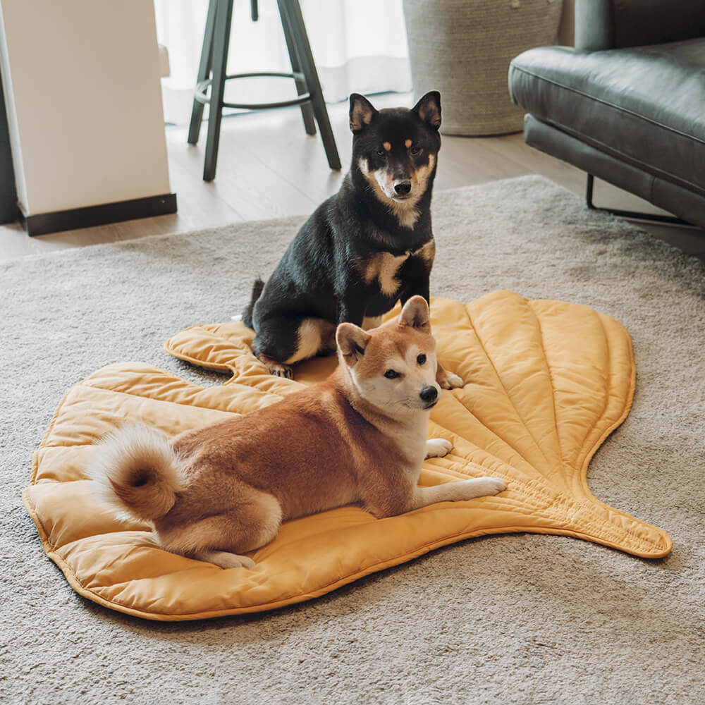 Soft Touch Leaf Design Dog Blanket with Dual Use – Ideal for Living Room or Couch