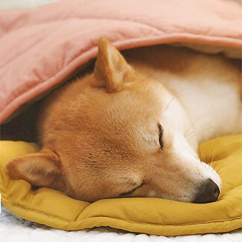 Soft Touch Leaf Design Dog Blanket with Dual Use – Ideal for Living Room or Couch