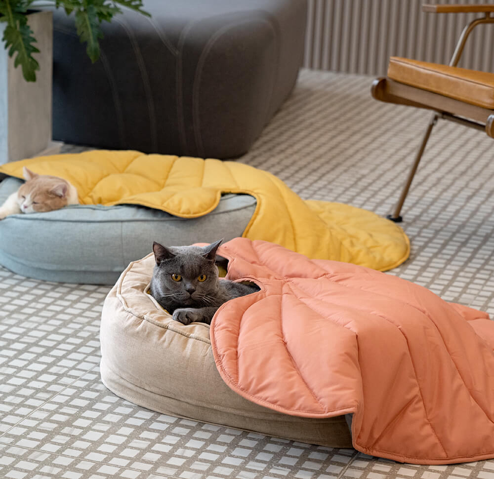 Soft Touch Leaf Design Dog Blanket with Dual Use – Ideal for Living Room or Couch