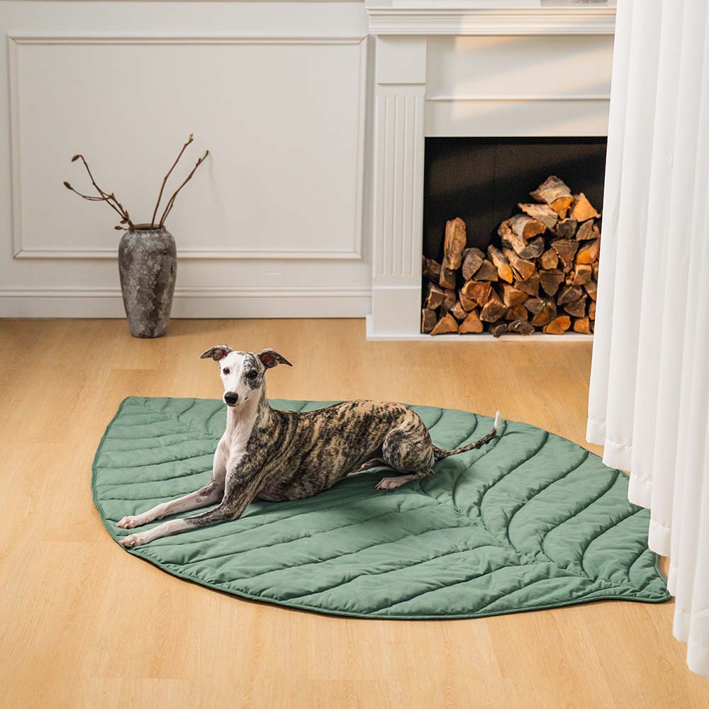 Soft Touch Leaf Design Dog Blanket with Dual Use – Ideal for Living Room or Couch