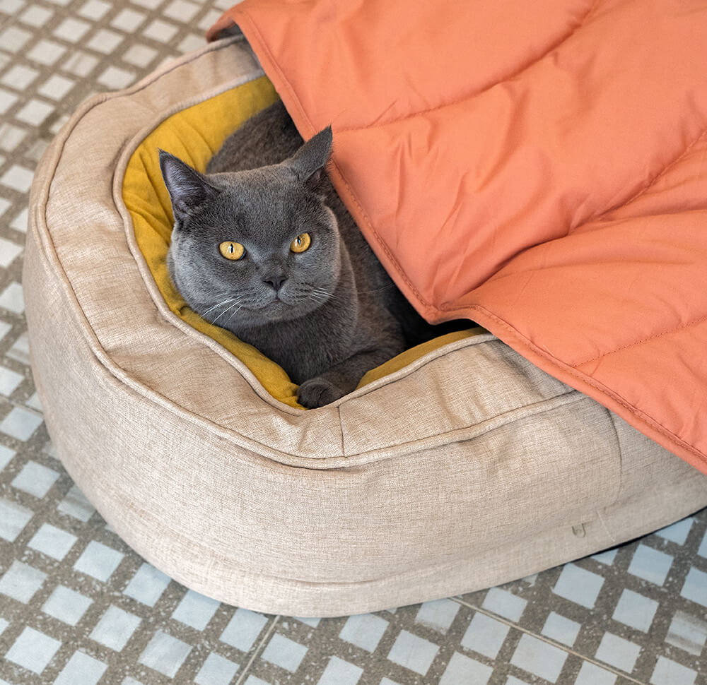 Soft Touch Leaf Design Dog Blanket with Dual Use – Ideal for Living Room or Couch