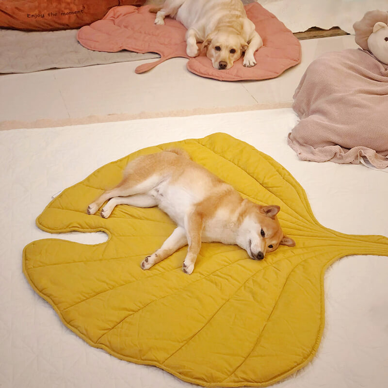 Soft Touch Leaf Design Dog Blanket with Dual Use – Ideal for Living Room or Couch