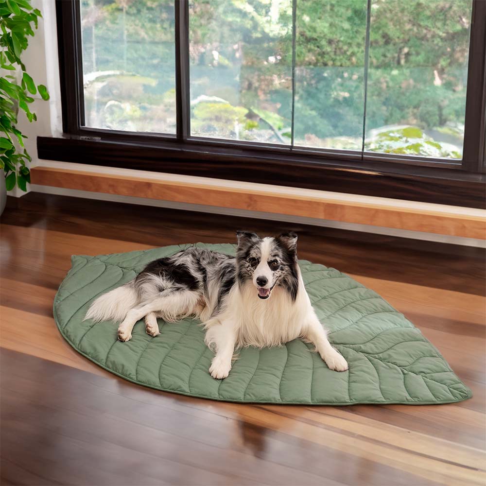Soft Touch Leaf Design Dog Blanket with Dual Use – Ideal for Living Room or Couch