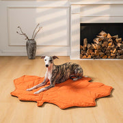 Soft Touch Leaf Design Dog Blanket with Dual Use – Ideal for Living Room or Couch