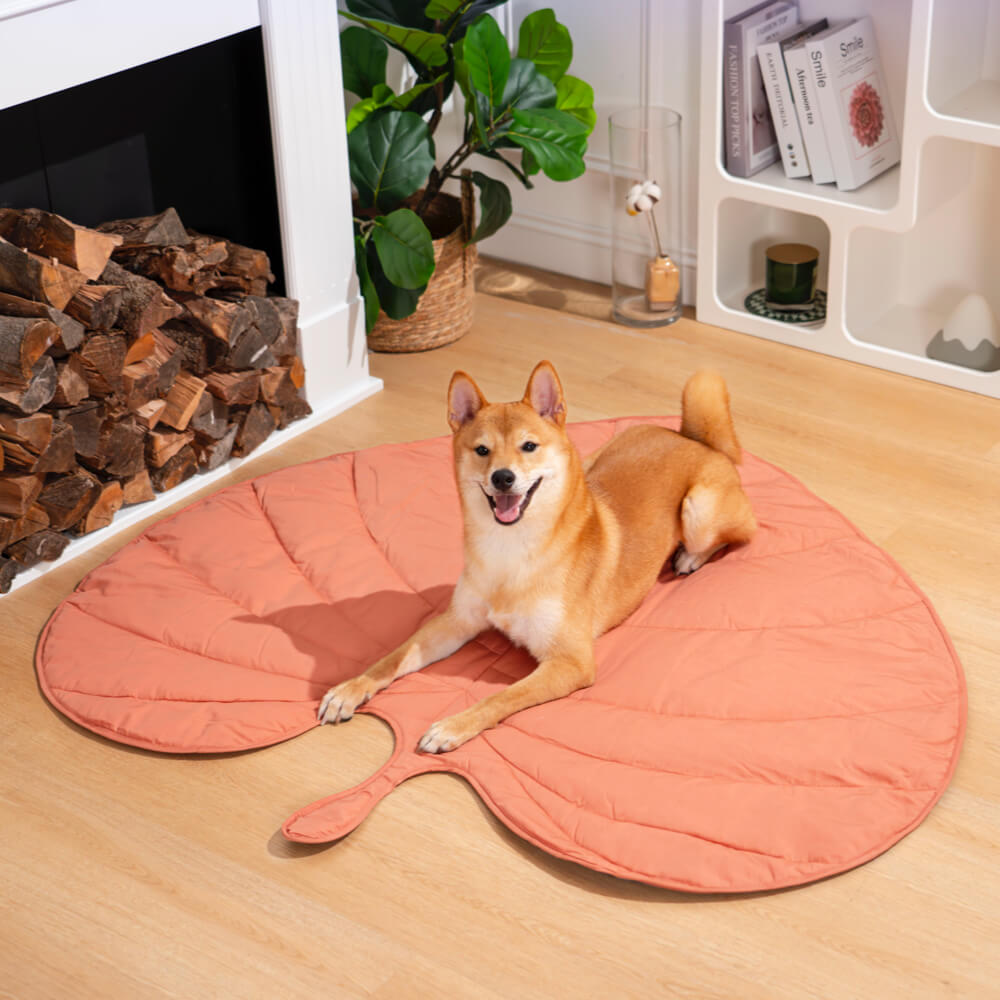 Soft Touch Leaf Design Dog Blanket with Dual Use – Ideal for Living Room or Couch