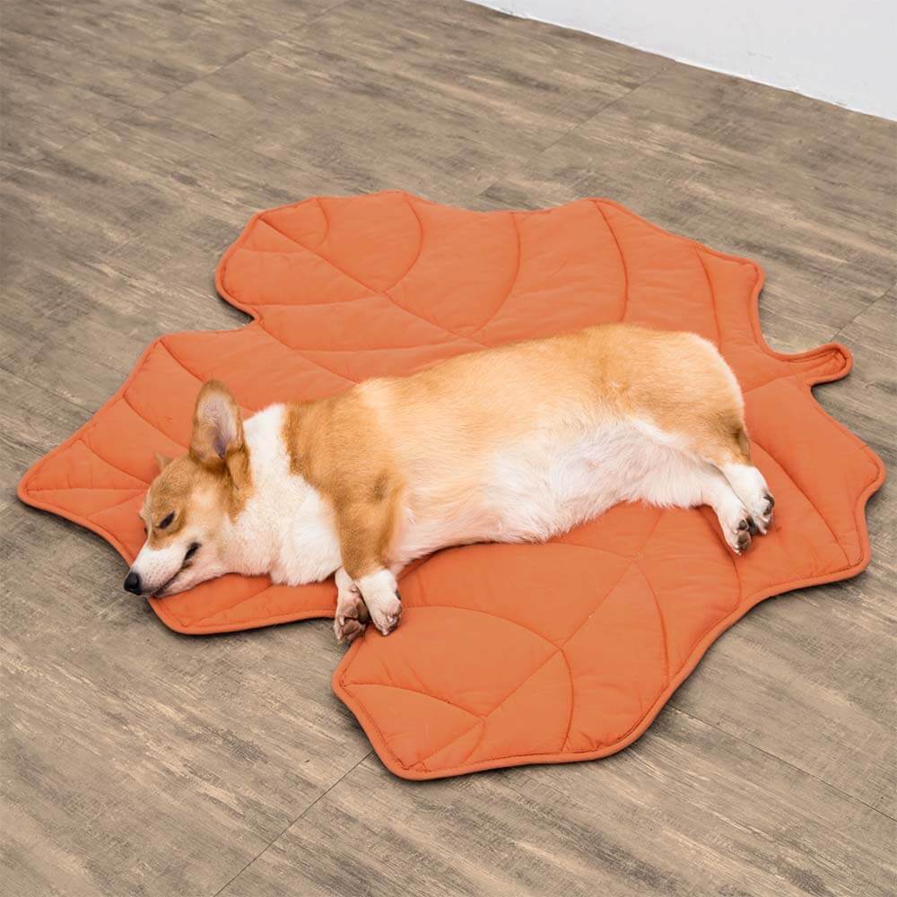 Soft Touch Leaf Design Dog Blanket with Dual Use – Ideal for Living Room or Couch