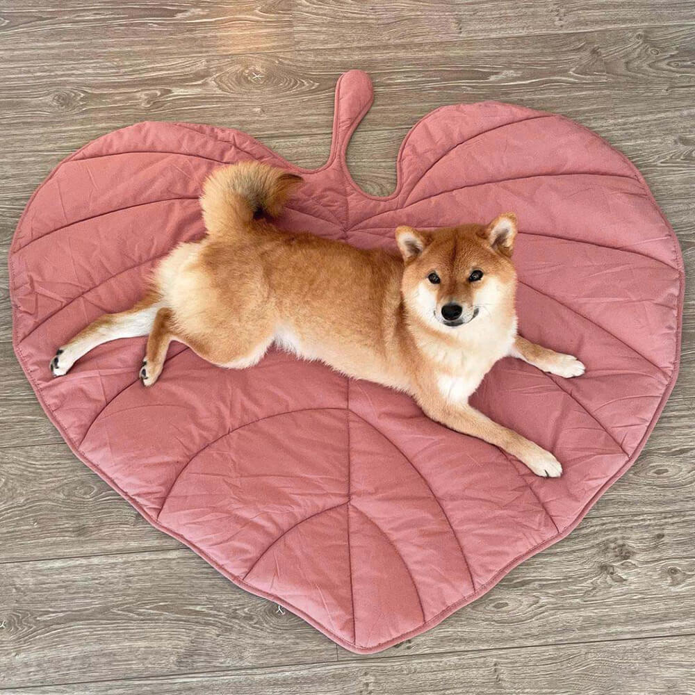 Soft Touch Leaf Design Dog Blanket with Dual Use – Ideal for Living Room or Couch