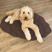 Soft Touch Leaf Design Dog Blanket with Dual Use – Ideal for Living Room or Couch