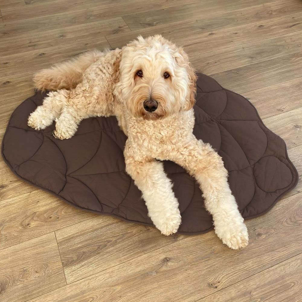Soft Touch Leaf Design Dog Blanket with Dual Use – Ideal for Living Room or Couch