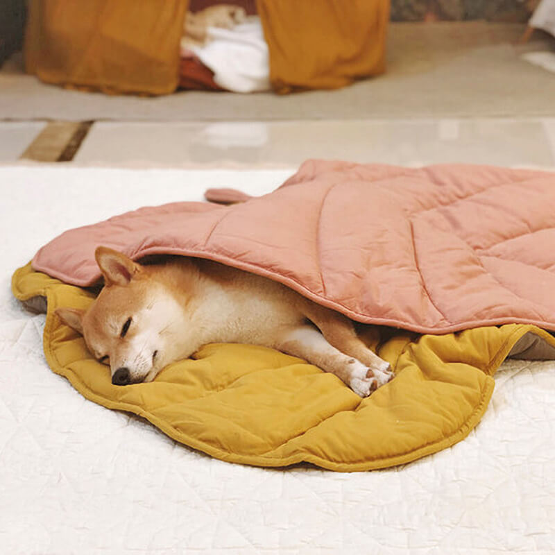 Soft Touch Leaf Design Dog Blanket with Dual Use – Ideal for Living Room or Couch